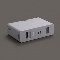 DayBox | Spare Lithium Battery